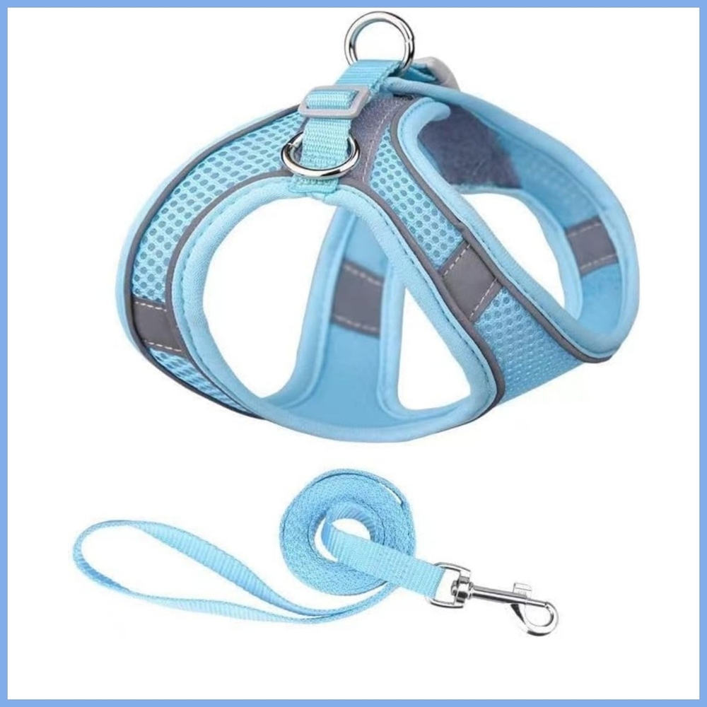 Blue Dog Harness & Leash Set. 2XS. NWT